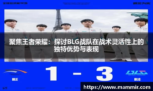 聚焦王者荣耀：探讨BLG战队在战术灵活性上的独特优势与表现