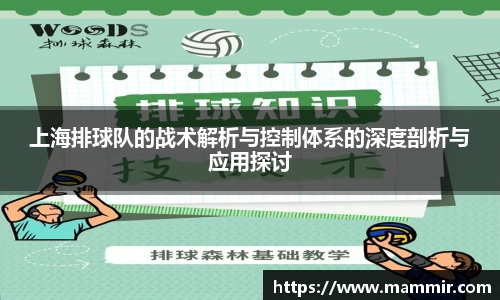 上海排球队的战术解析与控制体系的深度剖析与应用探讨