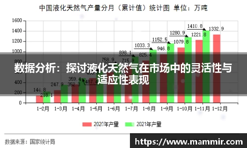 数据分析：探讨液化天然气在市场中的灵活性与适应性表现