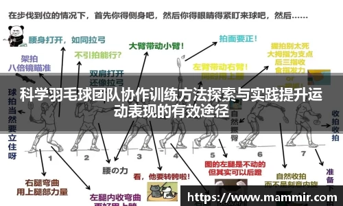 芒果体育app