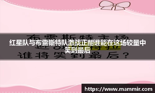 芒果体育app