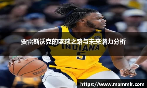芒果体育app官网入口