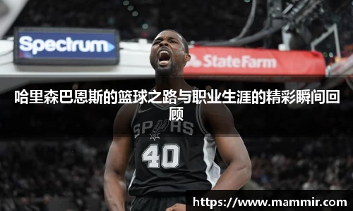 芒果体育app官网入口